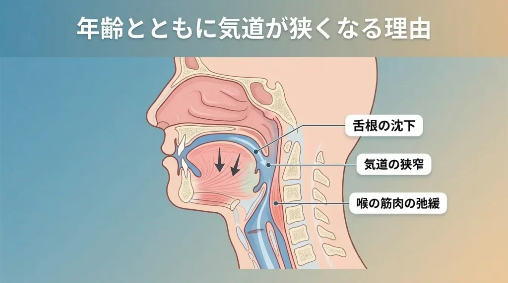 加齢で舌根が沈下し気道が狭くなることでいびきが増える仕組みのイラスト