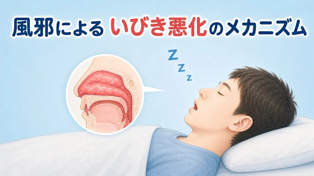 風邪による鼻や喉の腫れで気道が狭くなり、いびきが出やすくなる仕組みを示したイラスト