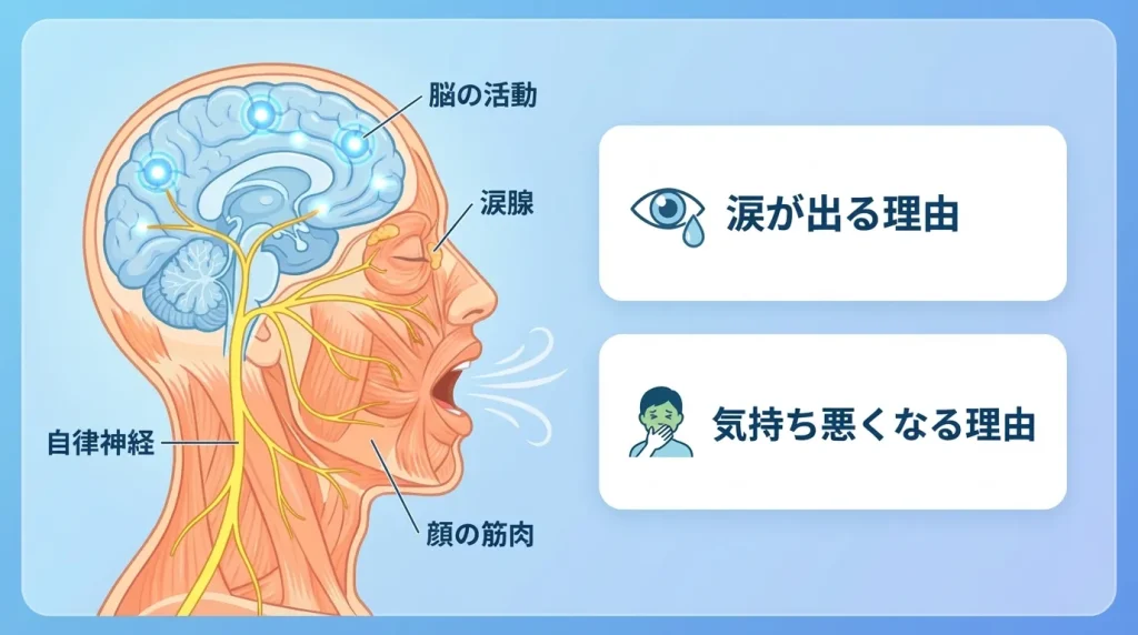 あくびの仕組みと、自律神経や涙腺の働きによって涙や気持ち悪さを伴うことがある理由を示した図