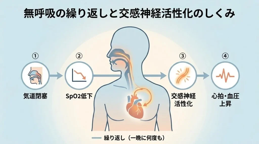 睡眠時無呼吸症候群による気道閉塞やSpO2低下が寝起きの動悸につながるしくみ