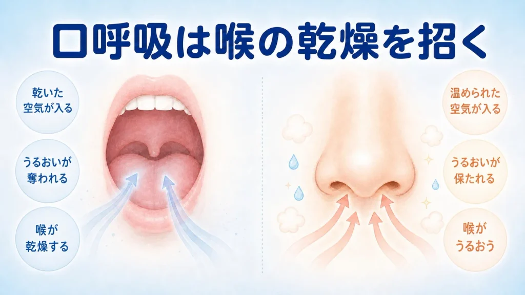 いびきに伴う口呼吸で喉が乾燥しやすくなる仕組みと、鼻呼吸との違いを示したイラスト