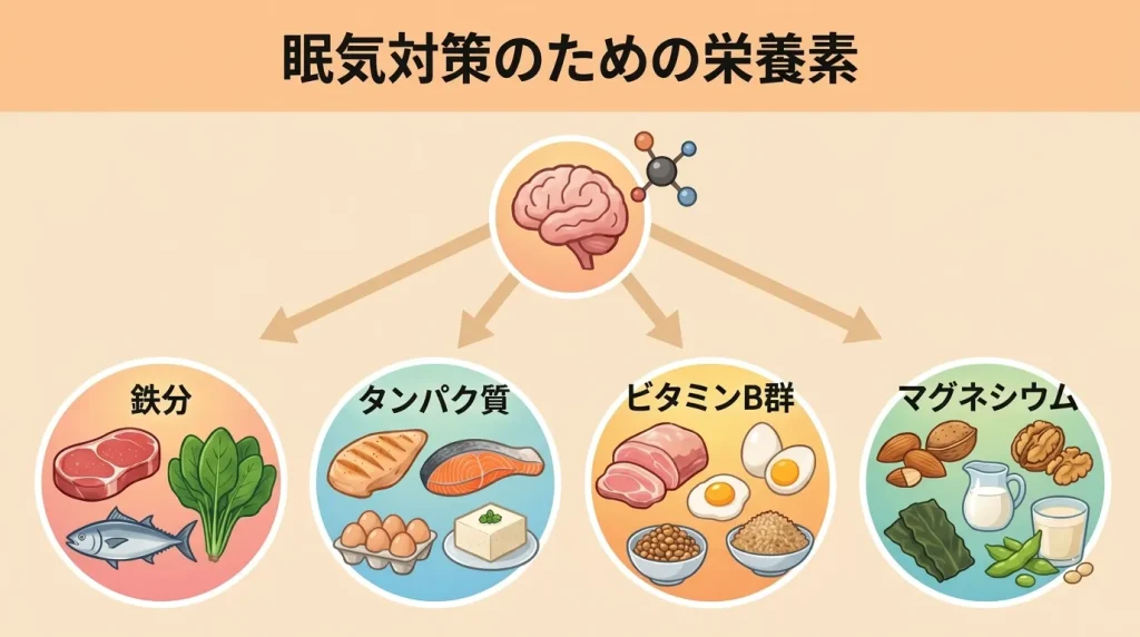 眠気対策に関わる鉄分、タンパク質、ビタミンB群、マグネシウムなどの栄養素を示した図