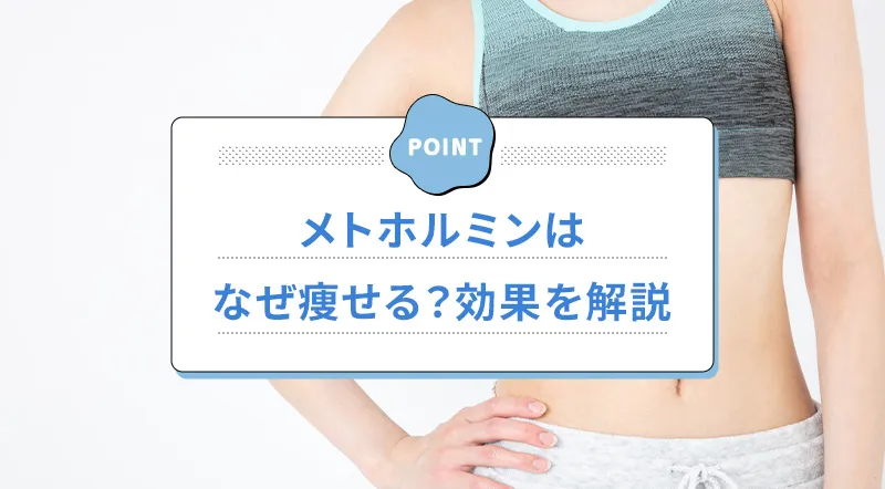 メトホルミンで痩せる仕組み