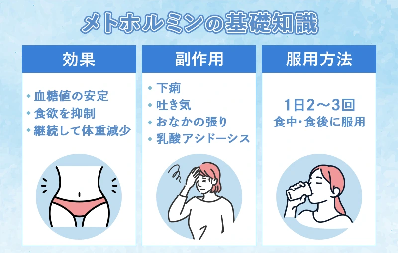 メトホルミンの基礎知識