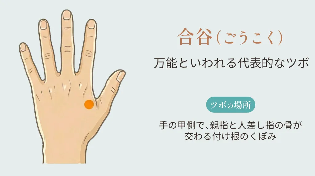 合谷（ごうこく）のツボの位置。手の甲側で、親指と人差し指の骨が交わる付け根のくぼみの部分を示したイラスト