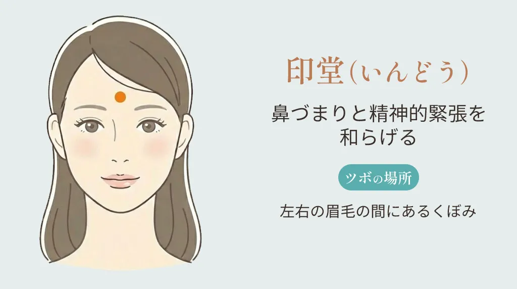 印堂（いんどう）の位置。左右の眉毛の間にあるくぼみの部分を示したイラスト