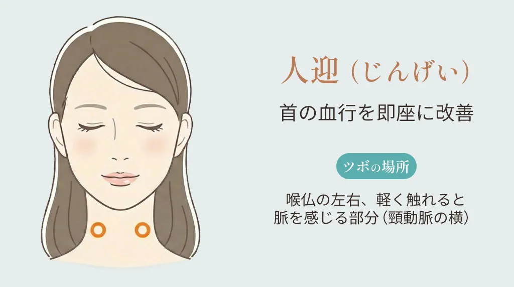 人迎（じんげい）のツボの位置。喉仏の左右、軽く触れると脈を感じる部分を示したイラスト