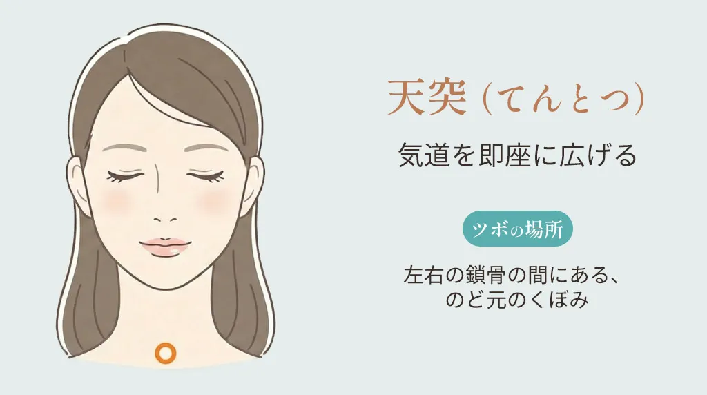 天突（てんとつ）のツボの位置。左右の鎖骨の間にある、のど元のくぼみを示したイラスト