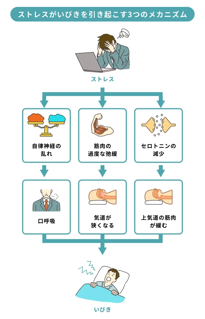 ストレスがいびきを引き起こす3つのメカニズム図